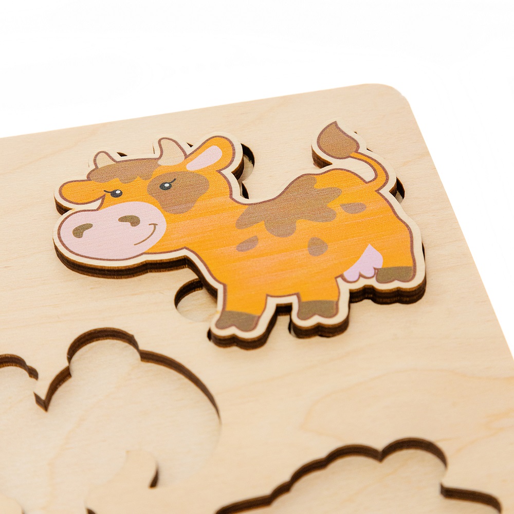 картинка Рамка - вкладыш Домашние животные, 00763, Десятое Королевство от магазина ДетсадЯр