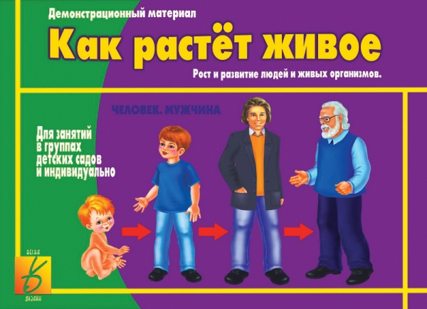 картинка Настольная игра "Как растет живое" Д-412, Весна-Дизайн от магазина ДетсадЯр