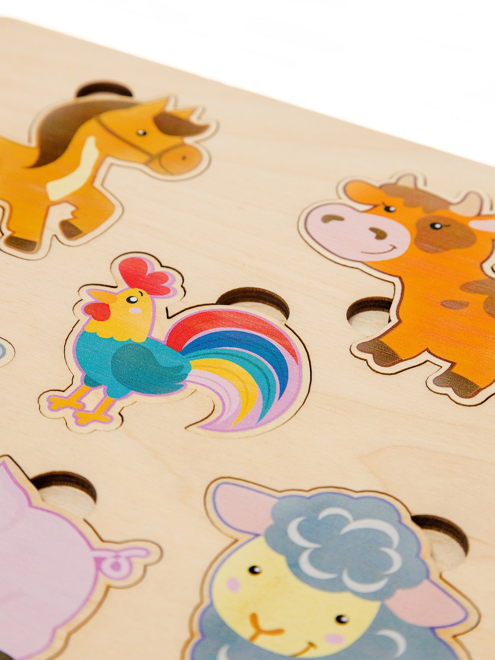 картинка Рамка - вкладыш Домашние животные, 00763, Десятое Королевство от магазина ДетсадЯр