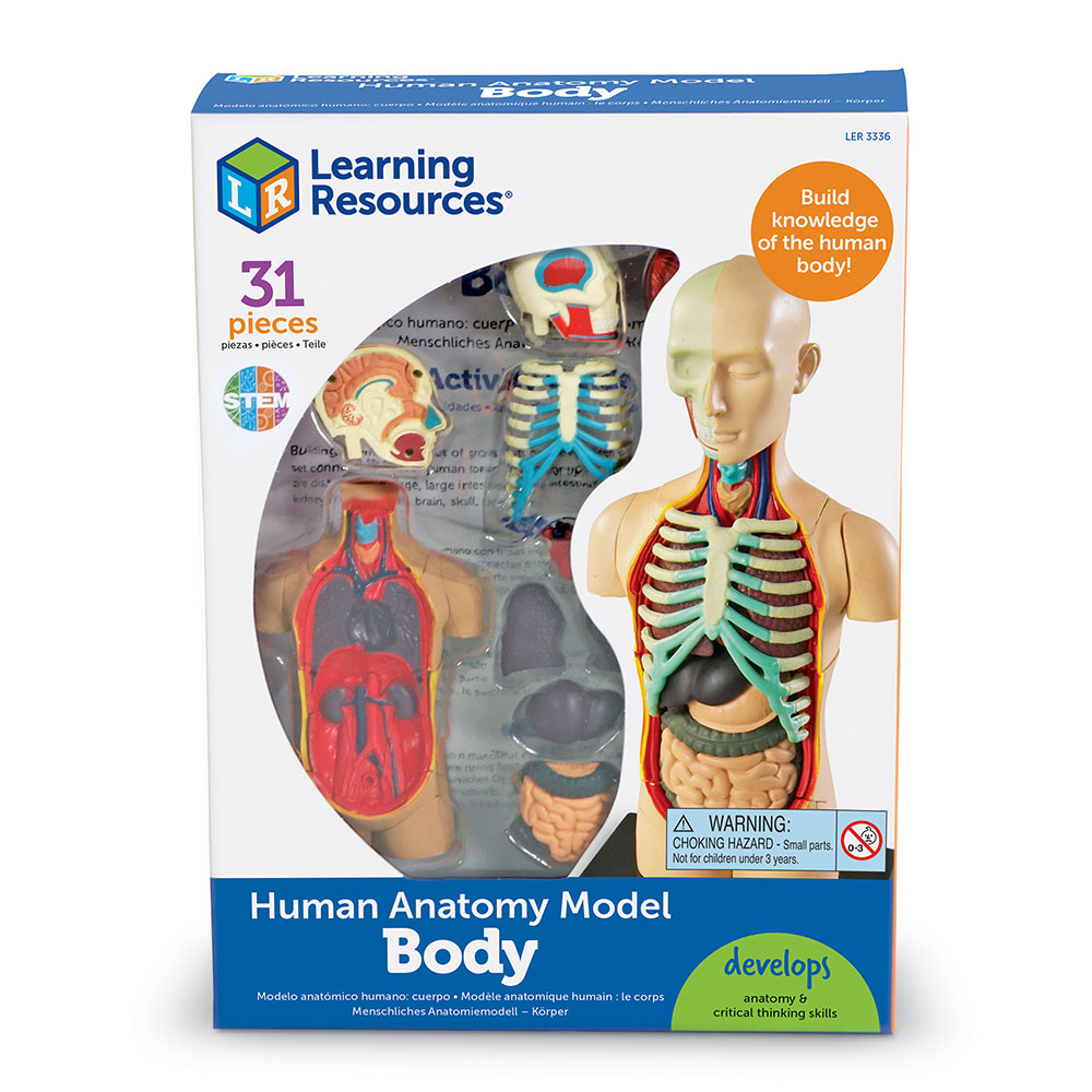 картинка Развивающая игрушка "Анатомия человека. Тело" (31 элемент) Learning Resources, LER3336 от магазина ДетсадЯр