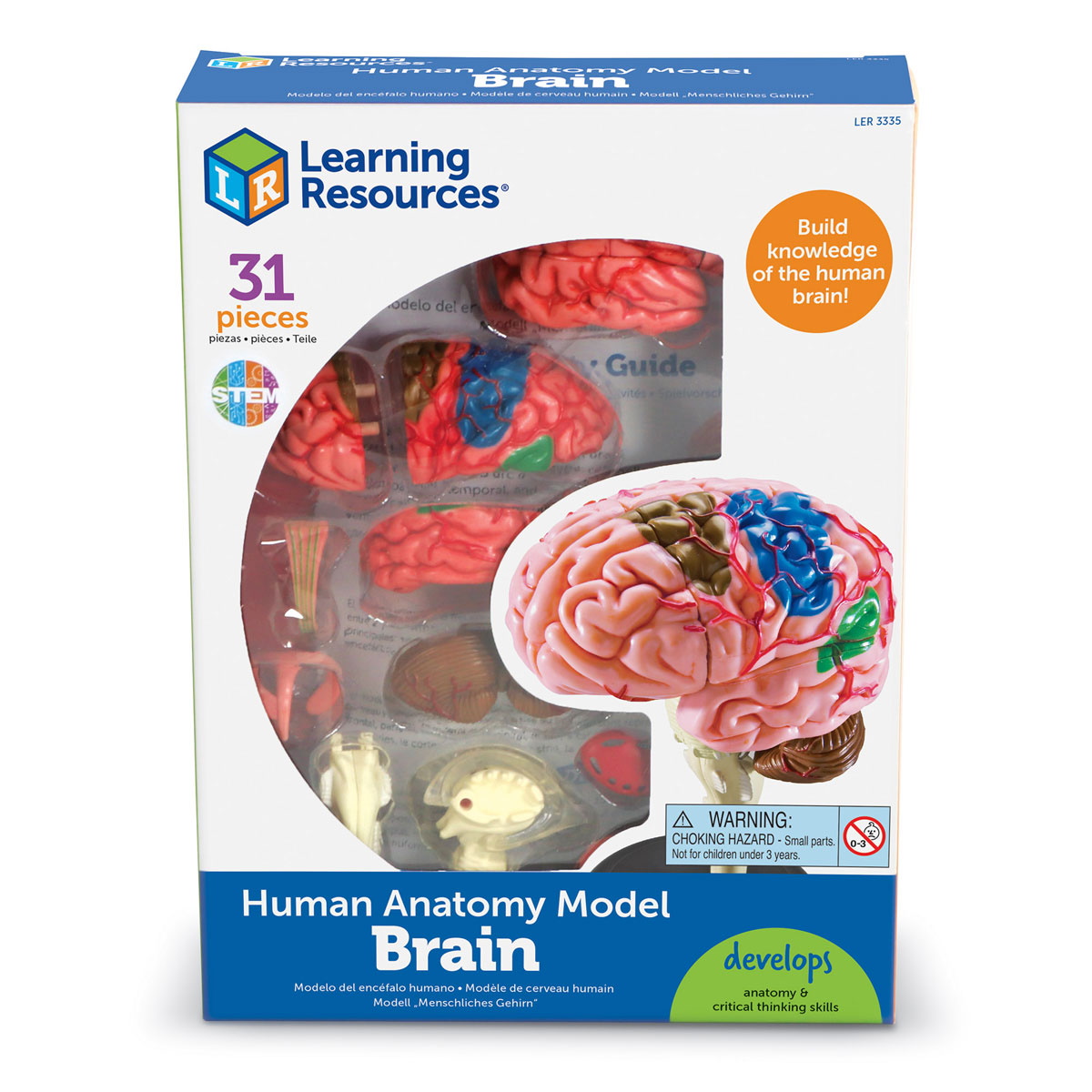 картинка Развивающая игрушка Анатомия человека. Мозг (31 элемент) Learning Resources, LER3335  от магазина ДетсадЯр
