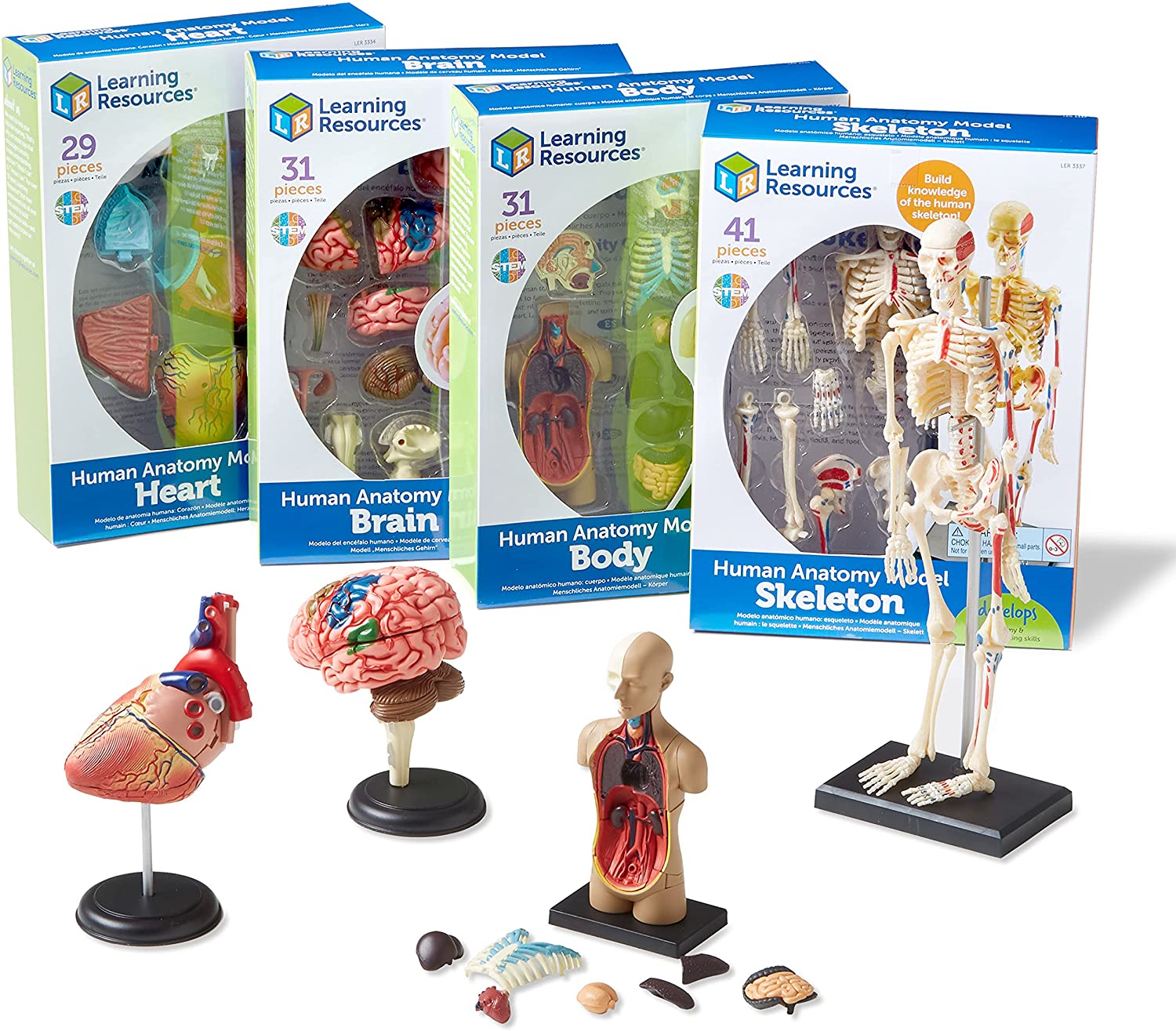 картинка Развивающая игрушка "Анатомия человека" (Мозг, Сердце, Тело, Скелет. 132 элемента) Learning Resources, LER3338 от магазина ДетсадЯр
