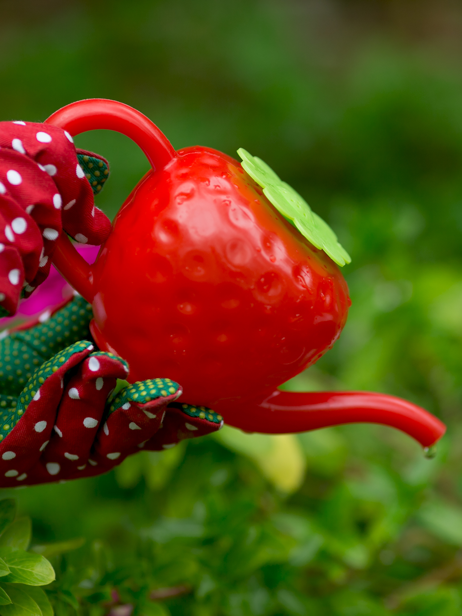 картинка Лейка "Клубника" 0,55л, 4125 от магазина ДетсадЯр