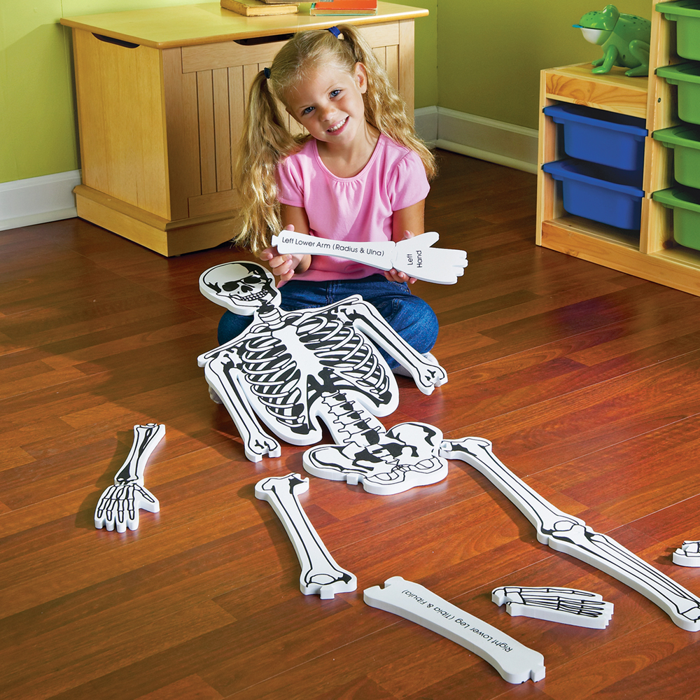 картинка Напольный пазл Скелет (122 см., 15 элементов) Learning Resources, LER3332 от магазина ДетсадЯр
